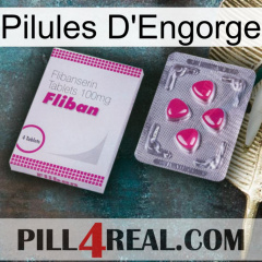 Engorge Pills 32